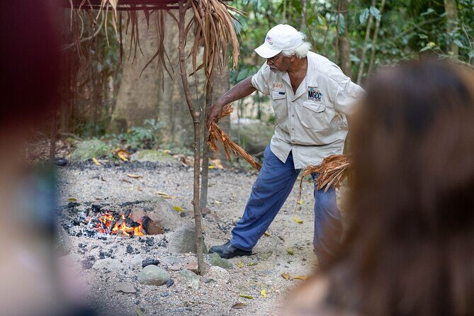 Cape Tribulation, Mossman Gorge, and Daintree Rainforest Day Trip - Why this tour works for travelers