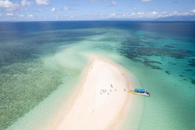 Cape Tribulation Ocean Safari - Great Barrier Reef Adventure - Marine Life and Underwater Experiences