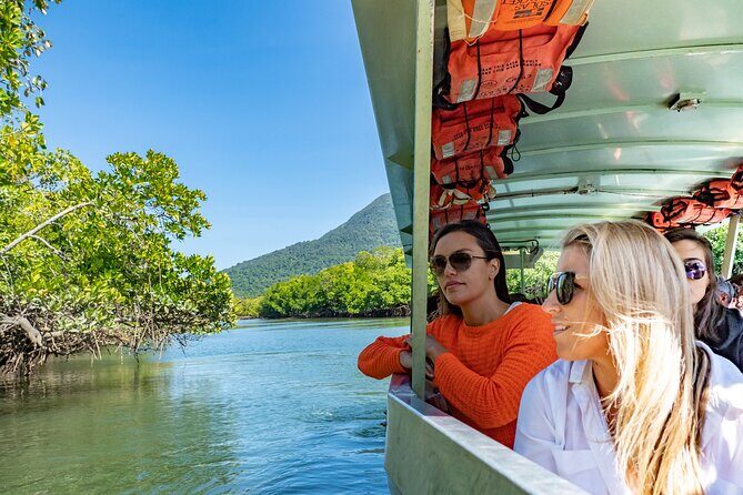 Cape Tribulation & Ziplining: Ultimate Daintree - Value and Practicality