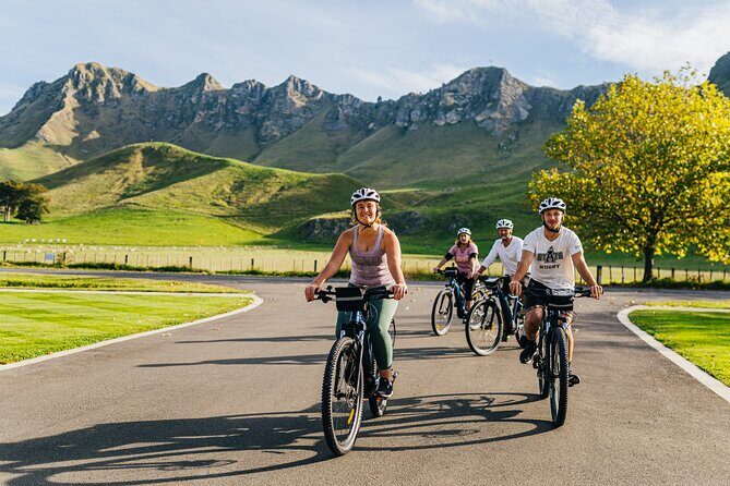 Cape Winery Cycle Tour - 6 wineries, self-guided - The Sum Up