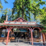 Capilano Br+Granville Isl+Capilano Hatchery+Lynn Canyon Tour - Transportation and Comfort