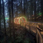 Capilano Suspension Bridge/Private/Small Group/By LUX CAR - A Thorough Breakdown of the Itinerary