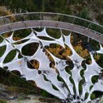 Capilano Suspension Br+Lake+Dam+Hachery/4in1/CAR/Small GROUP - Authentic Experiences Based on Visitor Feedback