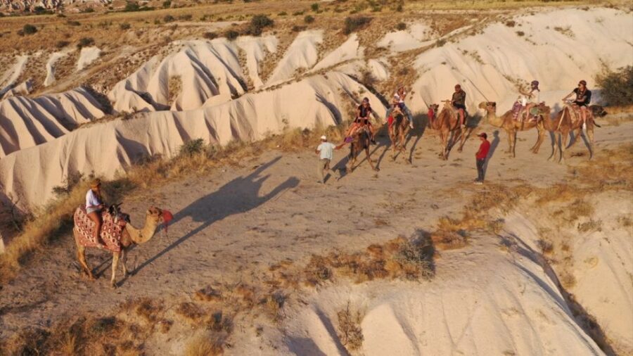 Cappadoca Camel Ride - Why This Tour Offers Great Value
