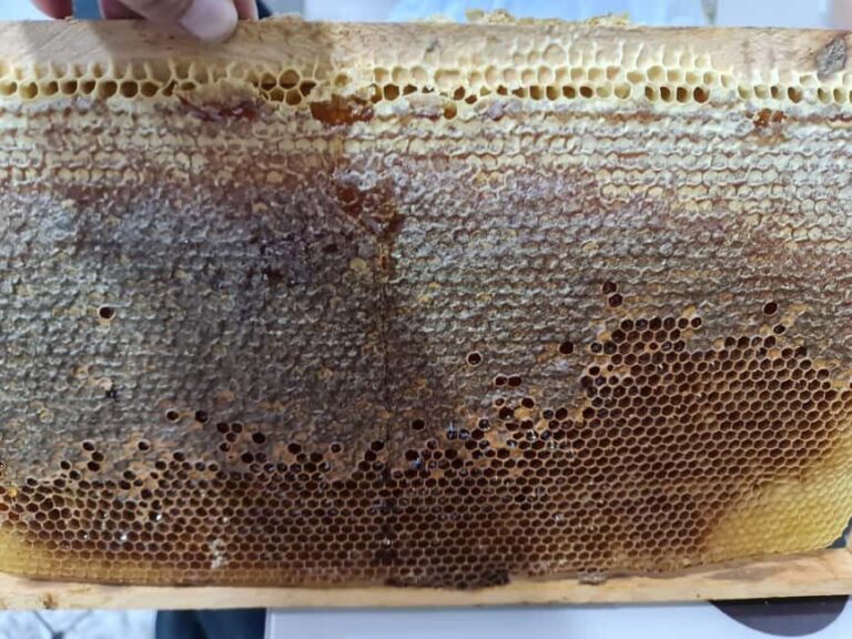 Cappadocia: Beekeeping Experience with Honey Tasting - FAQs