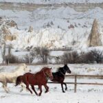 Cappadocia: Fairy Chimneys Horseback Riding Adventure - Key Points