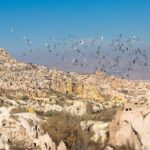 Cappadocia Highlights Day Trip w/ Lunch & Transfers - Why This Tour Offers Good Value