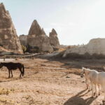 Cappadocia: Horse Riding Tour with Hotel Transfer - Detailed Breakdown of the Itinerary