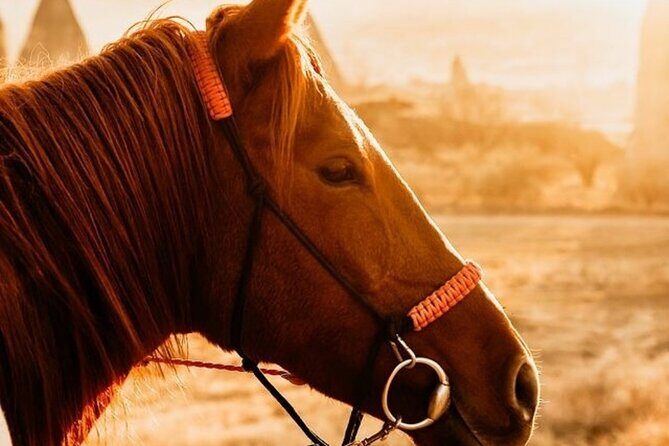 Cappadocia Horseback Riding Tour (Transfer Included) - Exploring the Details of the Cappadocia Horseback Riding Tour
