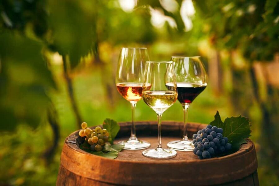 Cappadocia Wine Tasting Experience - Authentic Experiences That Stand Out