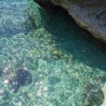Capri Boat Daily Tours - The Stops: Nature and Culture at Sea