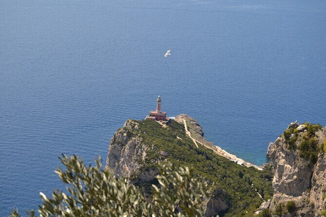 Capri Island and Blue Grotto Small Group Day Tour from Capri Port - Why Travelers Love This Tour