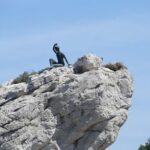 Capri Island, Blue Grotto and Positano Day Tour from Naples - A Deep Dive into the Experience