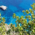 Capri Private Full Day Tour from Rome - Why Travelers Love This Tour