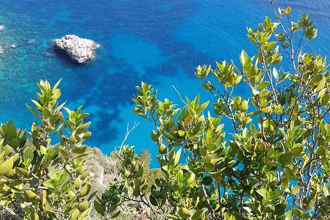 Capri Private Full Day Tour from Rome - Why Travelers Love This Tour