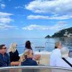 Capri Semi-Private Boat Tour and City Visit from Sorrento - Frequently Asked Questions (FAQs)