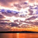 Capture LA's Coastal Magic-Wildlife, Marina Photography Tour - Who Should Consider This Tour?