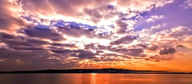 Capture LA's Coastal Magic-Wildlife, Marina Photography Tour - Who Should Consider This Tour?