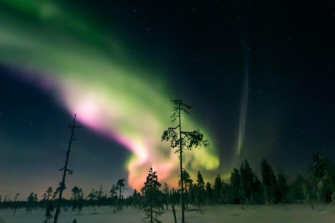 Capturing Auroras in Pyhä - A Close Look at the Aurora Photography Tour
