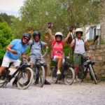 Carcassonne: Solex tour with guide and wine tasting - Exploring the Experience