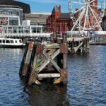 Cardiff Bay Private Self-Guided Tour - Final Thoughts: Is It Worth It?