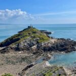Cardiff: Gower Peninsula's Cliffs & Bays Scenic Day Tour - Why This Tour Stands Out