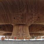 Cardiff Like a Local: Customized Private Tour - Authentic Experiences and What Travelers Say