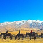 Cardrona High Country Pub Trail Horse Riding Trek (Intermediate+) - A Deep Dive Into the Cardrona Horse Riding Experience