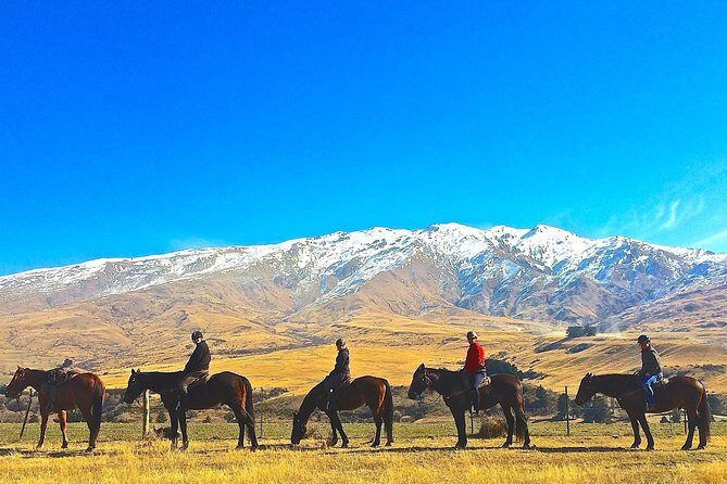 Cardrona High Country Pub Trail Horse Riding Trek (Intermediate+) - A Deep Dive Into the Cardrona Horse Riding Experience