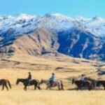 Cardrona Valley: Horse Trekking Experience - Who Should Consider This Experience?