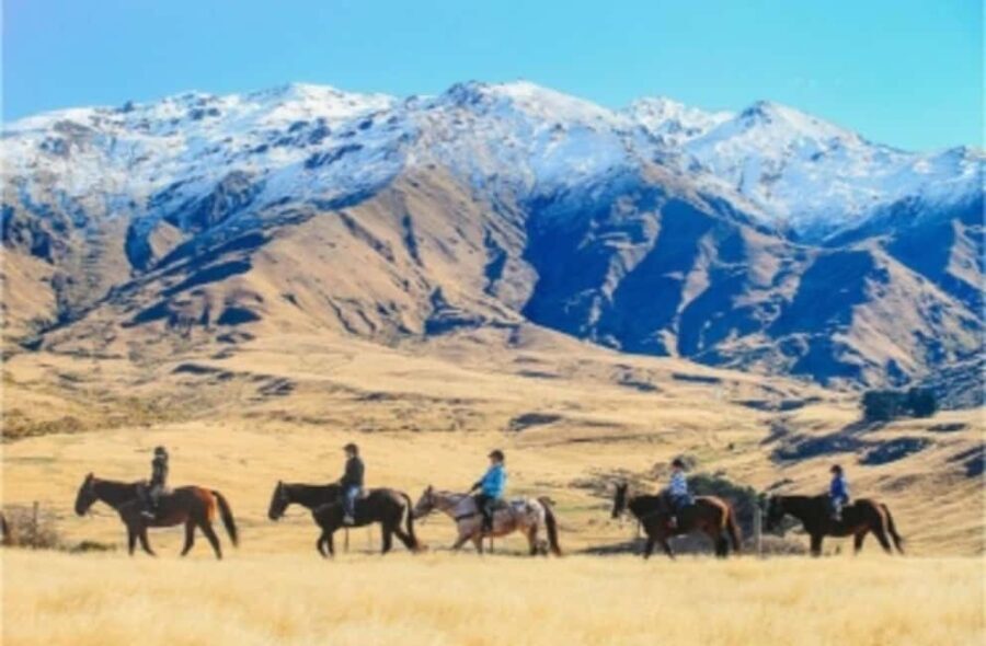 Cardrona Valley: Horse Trekking Experience - Who Should Consider This Experience?