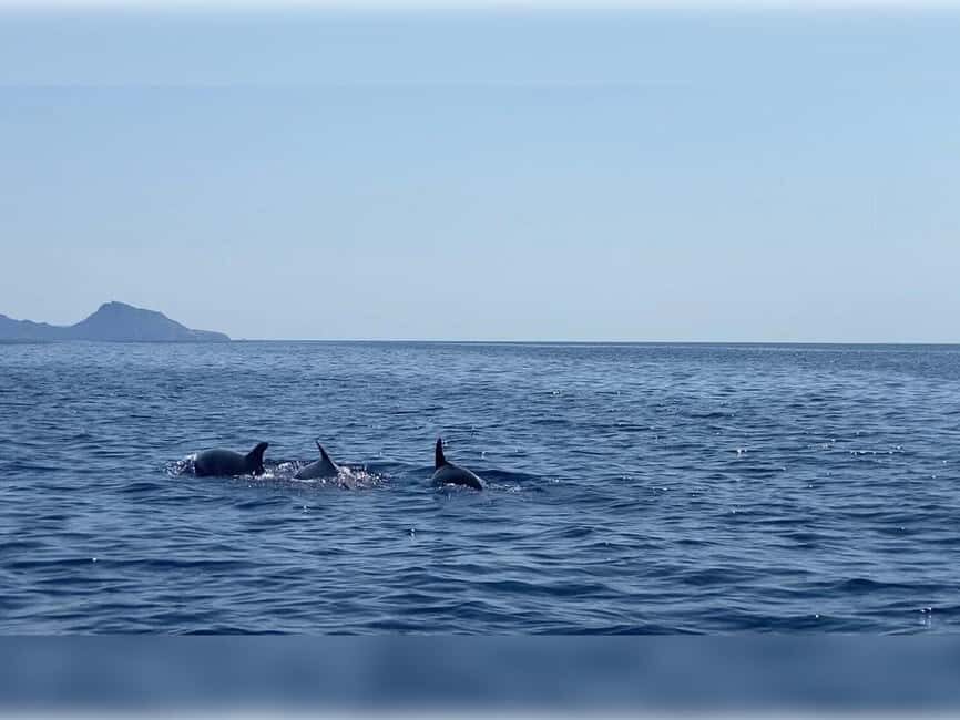 Cargèse: Capo Rosso "Snorkeling" and Sea Cave Tour - A Thorough Look at the Tour Experience