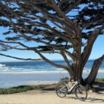 Carmel-By-The-Sea Electric Bike Guided Tour - A Deep Dive into the Itinerary