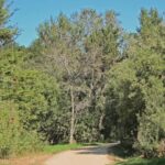 Carmel-by-the-Sea Mission Areas: A Self-Guided Audio Tour - Analyzing the Value