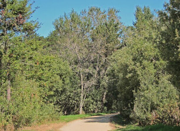 Carmel-by-the-Sea Mission Areas: A Self-Guided Audio Tour - Analyzing the Value