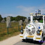 Carnac Tour: Megalithic Marvels and La Trinite Sur Mer - An In-Depth Look at the Carnac Tour Experience