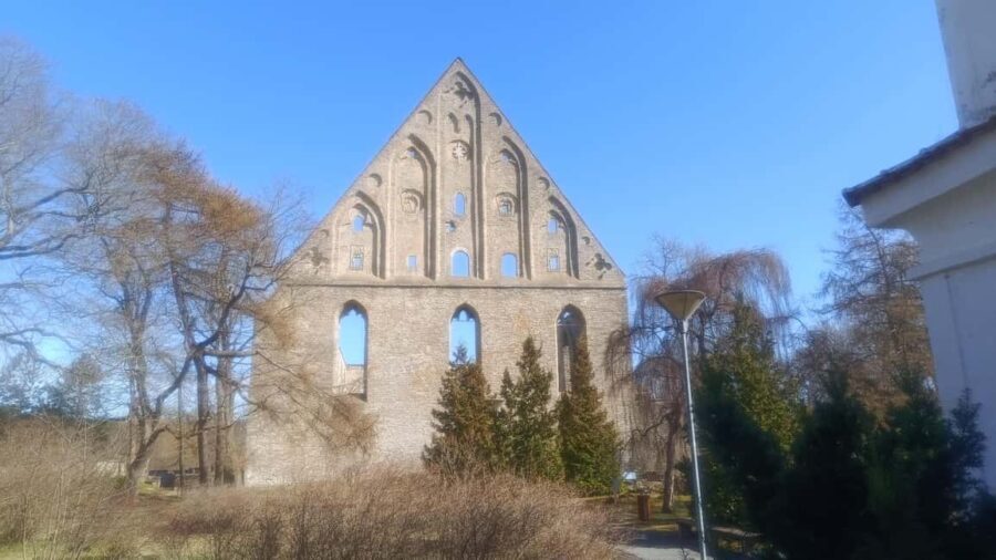 Carnivals, Punishments, Epidemics in Medieval Tallinn - Who Should Take This Tour?