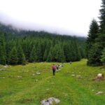 Carpathians in Romania: Piatra Craiului National Park with native Spanish guide. - Frequently Asked Questions