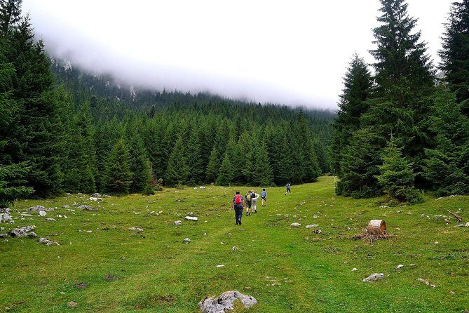 Carpathians in Romania: Piatra Craiului National Park with native Spanish guide. - Frequently Asked Questions