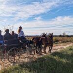 Carriage rides, Pays de Sommières - FAQ