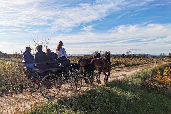 Carriage rides, Pays de Sommières - FAQ