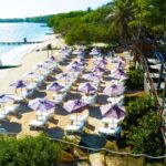 Cartagena: Rosario Island Beach Club Day Trip and OPEN BAR - Authentic Experiences and Practical Tips