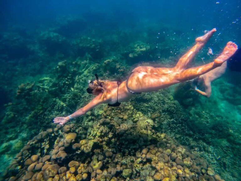 Cartagena: Rosario Islands Day Tour with Snorkel & Lunch - Who Should Consider This Tour?