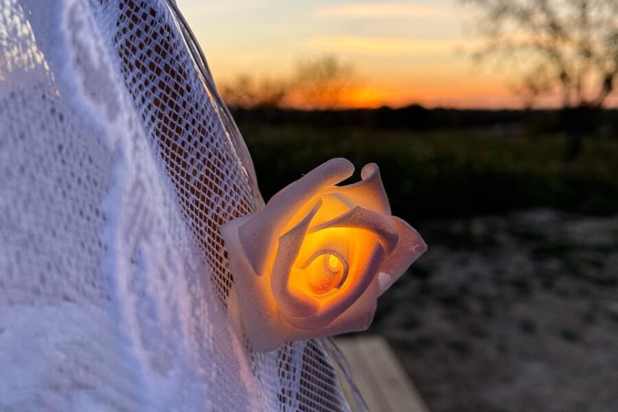 Carvoeiro, Portimão, Lagos: Algarve Romantic Vineyard Picnic - What Makes This Tour Special?