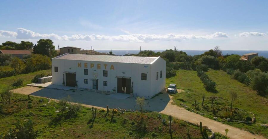 CASA NEPETA: Botanical Walk, Amari Production, and Tasting - Who Will Love This Experience?