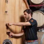 Casa Relvas, Évora - Visit to the Winery with Tasting of Portuguese Grape Varieties and Tapas - Final Thoughts: Is It Worth It?