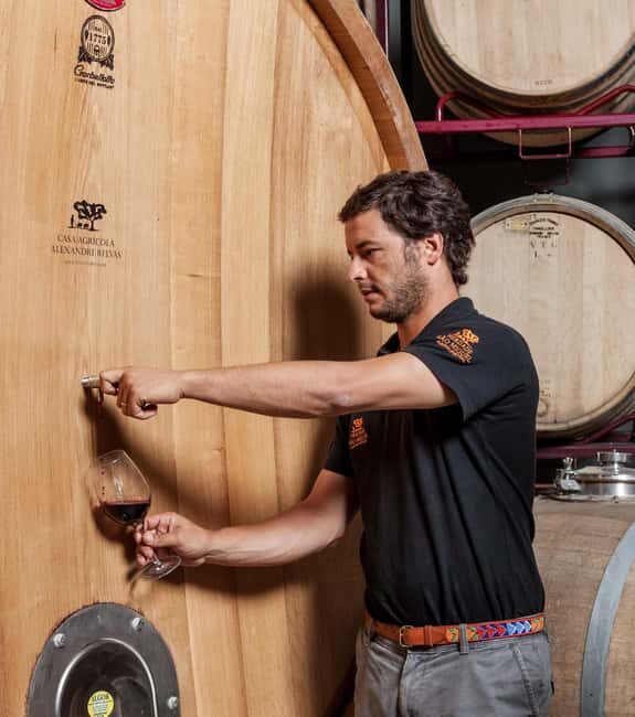 Casa Relvas, Évora - Visit to the Winery with Tasting of Portuguese Grape Varieties and Tapas - Final Thoughts: Is It Worth It?