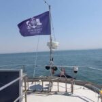 Cascais Coastal Secrets: 90-Minute Cruise with Free Drinks - An In-Depth Look at Cascais Coastal Secrets