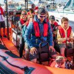Cascais: Dolphin Watching Tour - Price and Value