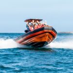 Cascais: Dolphin Watching Tour - Why This Tour Works